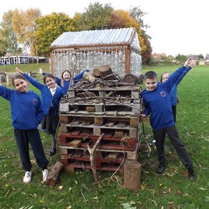 Ashbrook Junior School is acting on climate change by implementing new nature projects to their school grounds